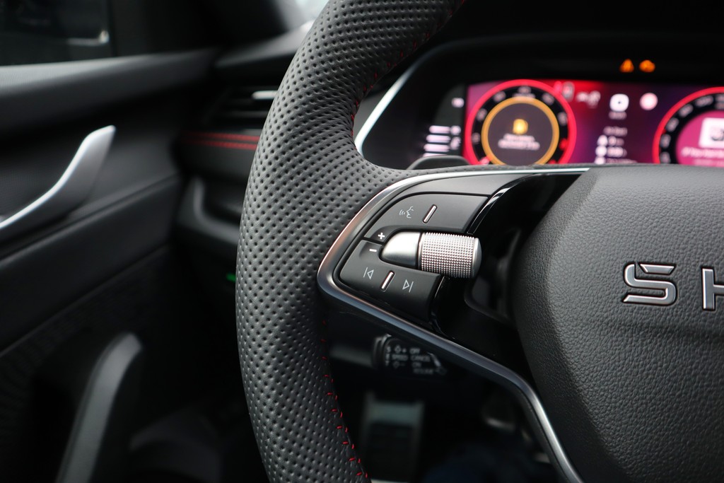 Skoda - Octavia Combi RS 2.0 TSI DSG *Matrix*Pano*AHK_3