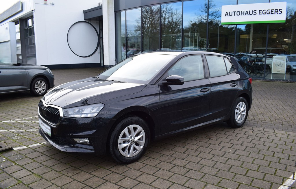 Škoda Fabia 1.0 TSI Selection *LED*SitzHzg*GRA*PDC