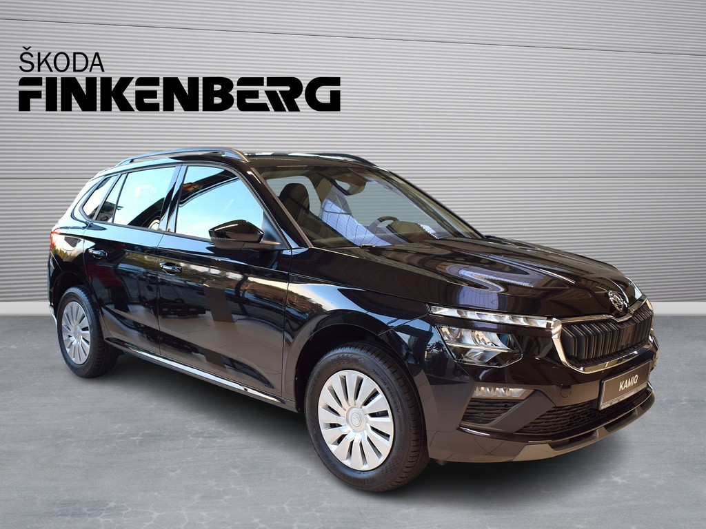 Škoda Kamiq 1.0 TSI DSG Selection *LED*SitzHz*GRA*PDC